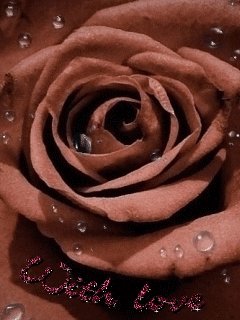 file_60242848