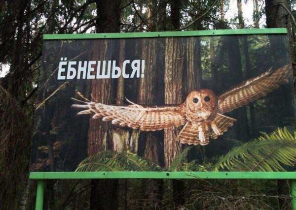 Надеюсь, у меня не одного появилась ассоциация: