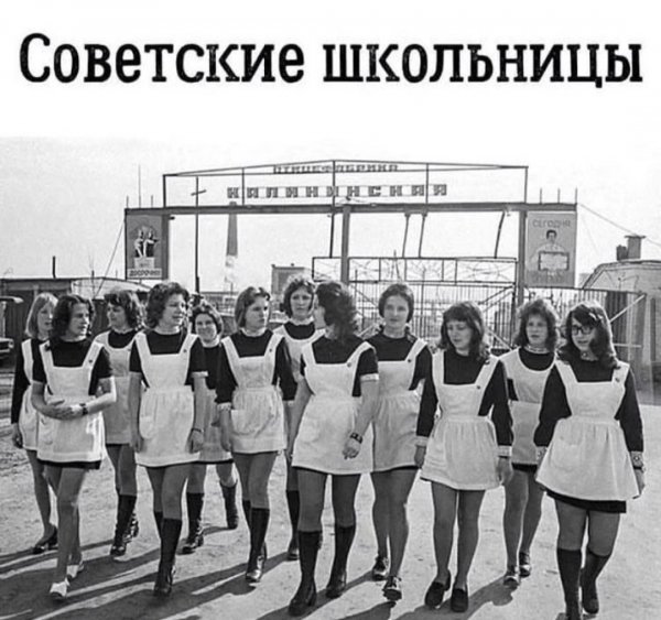 file_96506893