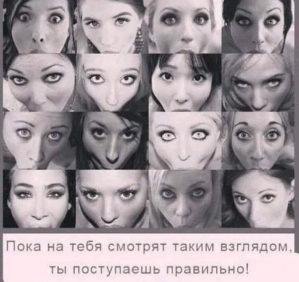 file_98372052