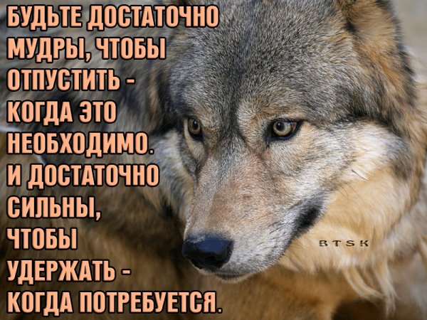 IMG 20191121 191852