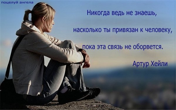 image (17)