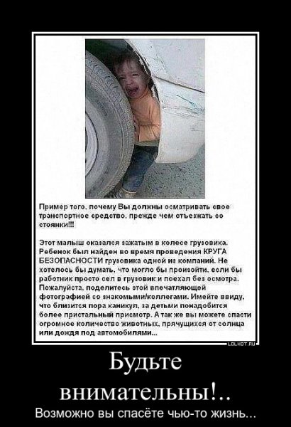 lol1551184417