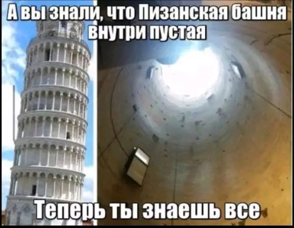 file_103254764