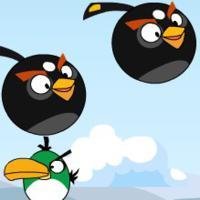 Angrybird Сollision