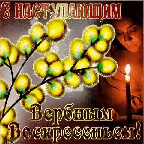 image (96)