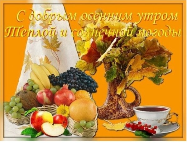 IMG 20191013 210454