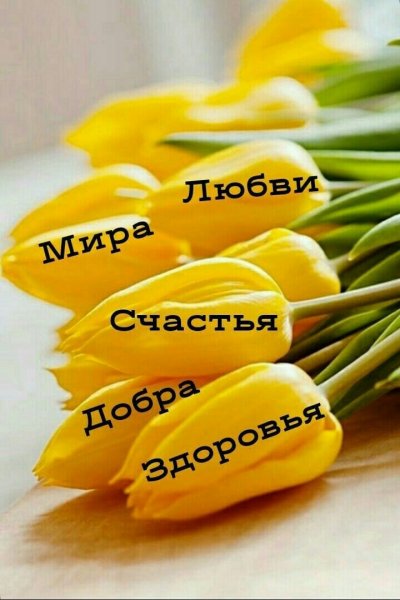 OyrUXviB9Pg