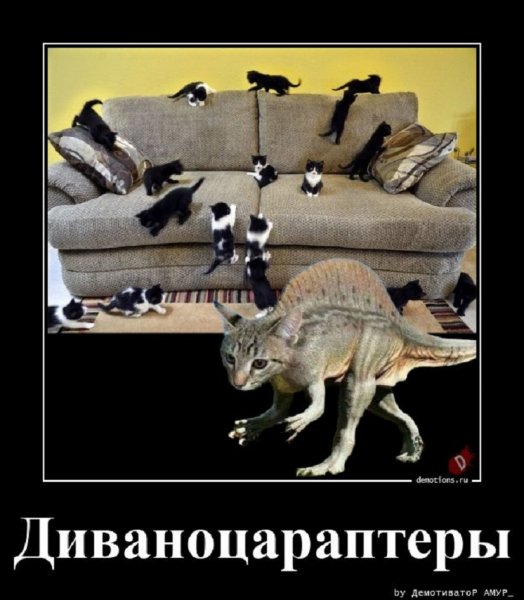 Диванная котовасия