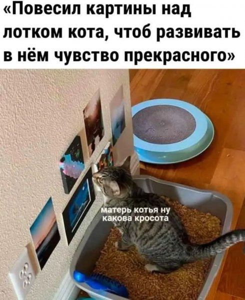 FB IMG 1778007058138