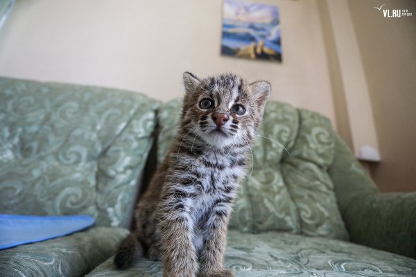 Владивосток