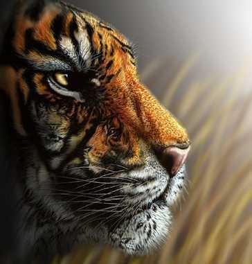 Russkij rukopashnyj b