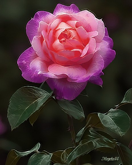 0 1814c7 7989b04f orig