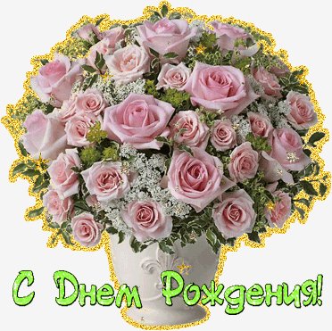 cvetki 16
