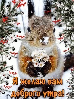 file_92267896