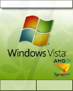 A M D Vista