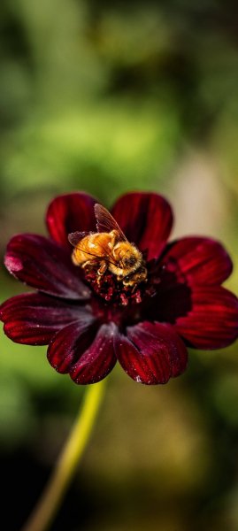file_90016589