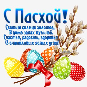 file_81317819