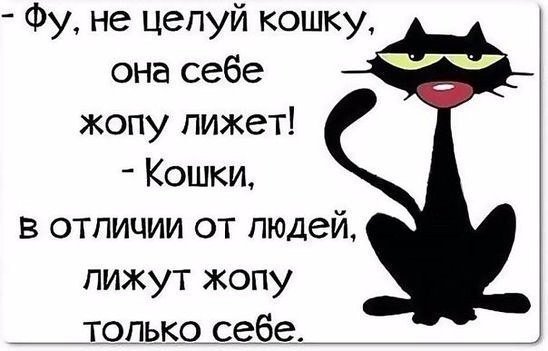 UID305739 1555458583 58