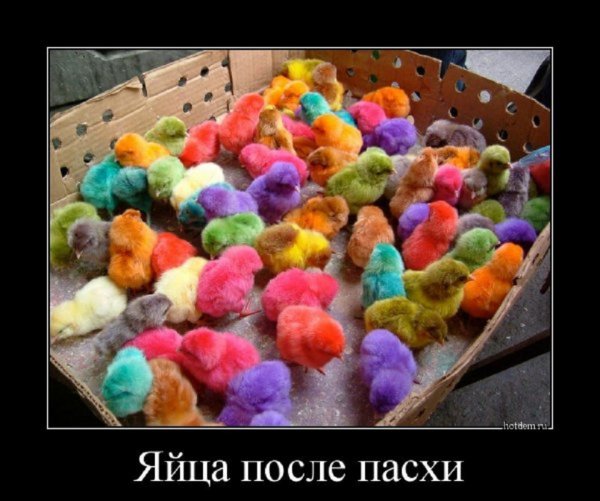 Яйца после пасхи