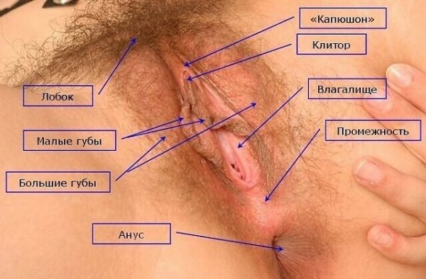IMG 20210113 110318