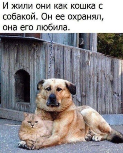 x500