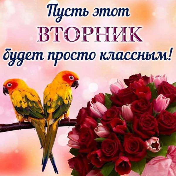 file_74636726