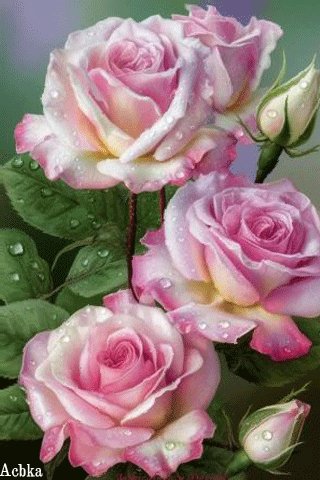 file_94229249