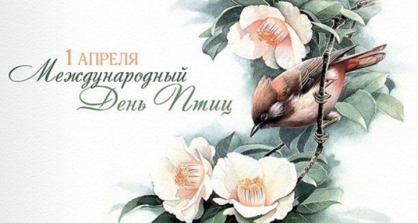 С международным днём птиц