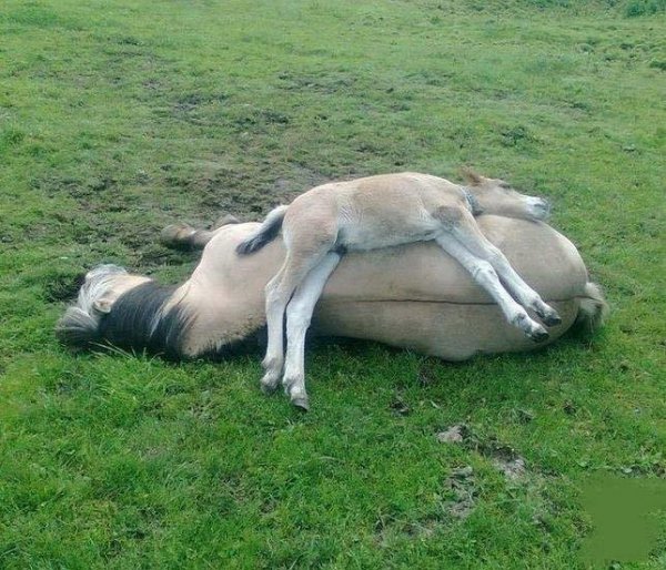 IMG 20150921 174927 12