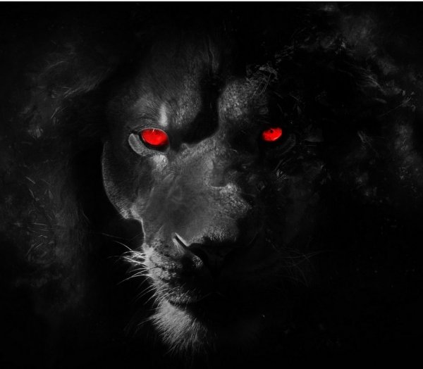 wallpaper 34