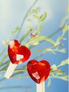 card29 240x320
