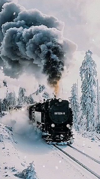 76fd3e830a91eaba13558f24a8e1f173