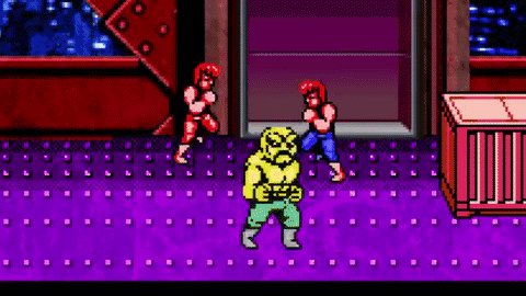 Double-dragon-2