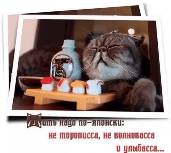 file_76435676