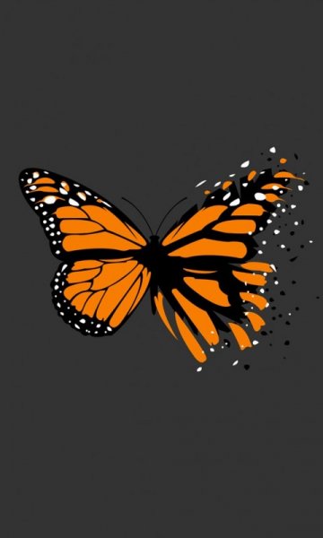 wallpaper 480x800 9 55