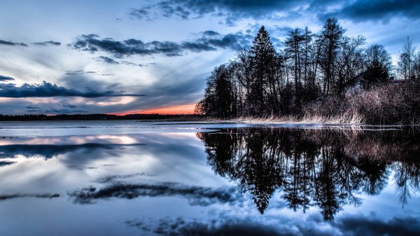 file_100946186