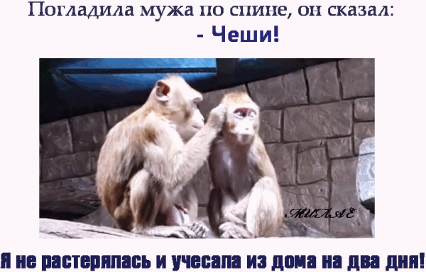 file_78032861