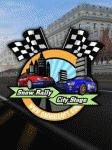 SnowRallyCityStage 240x320