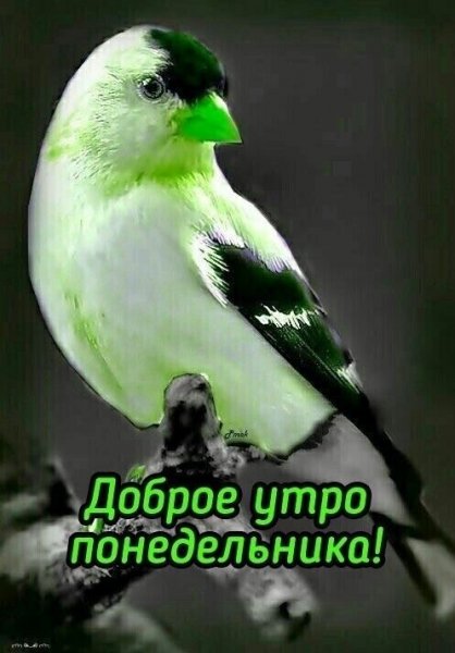 file_90235877