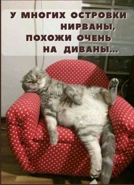 FB IMG 1776446921802