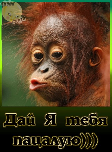 48bf673800da8879f6f4e979080aec77