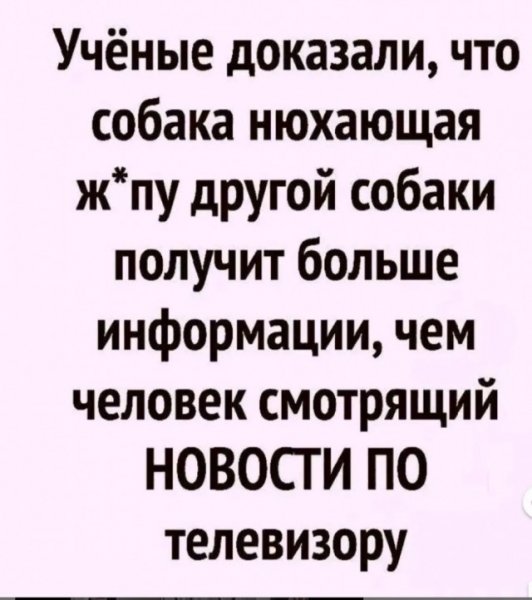 file_99502278