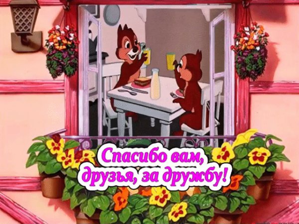 IMG 20171124 135045 27