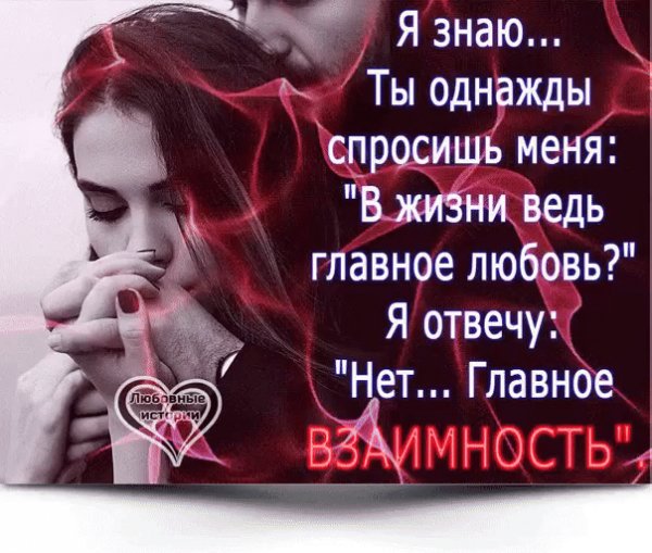 image (6)
