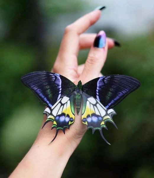 Ddb22c29d10de7b534002ee1d6380460