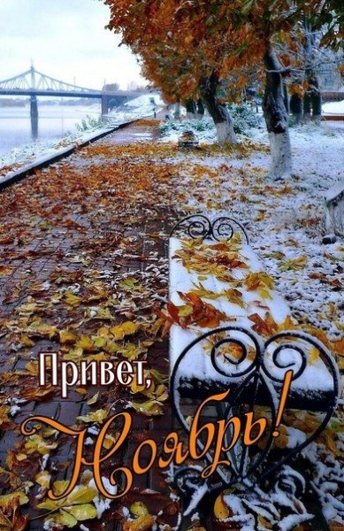 file_94942888