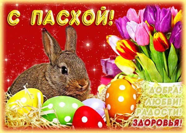 file_96592156