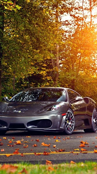 wallpaper 480x854 8 82