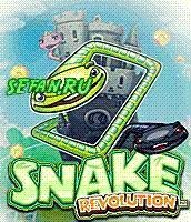 Snake Revolution 240 moto